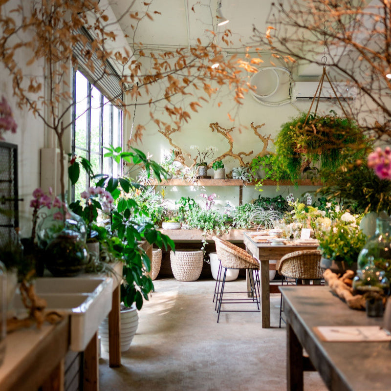 Interior of a greenhouse garden studio and floral boutique, with various plants and a table setting for a unique and immersive private event.