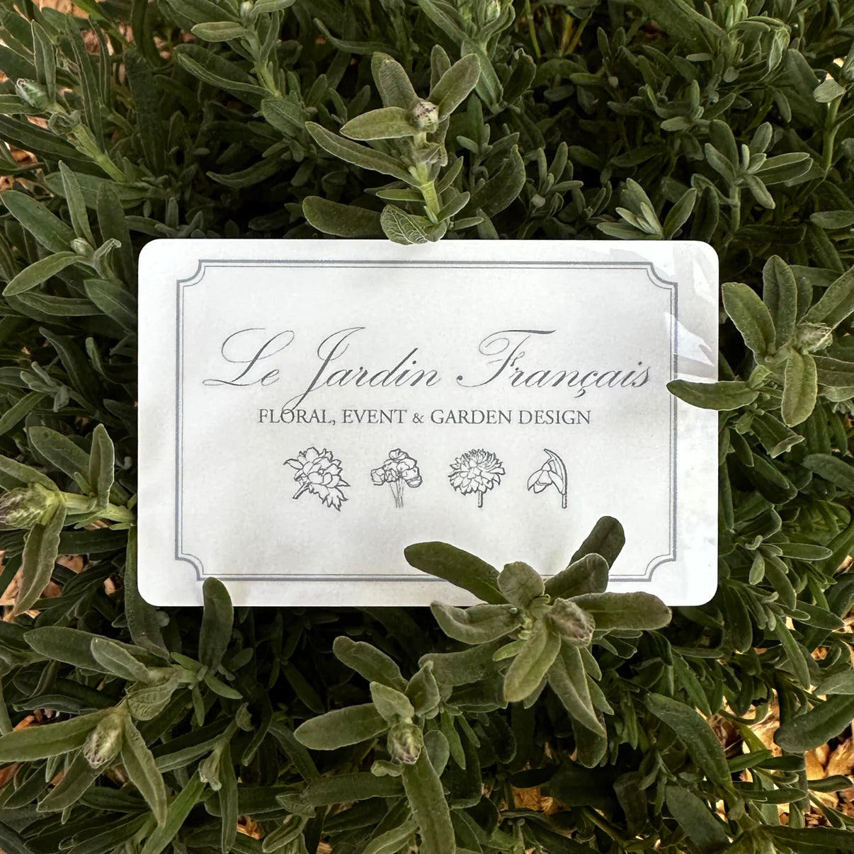 Workshops & Experiences Gift Certificate