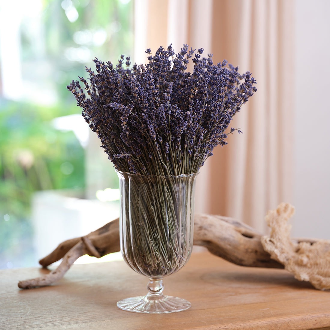 Preserved Lavender Compositions