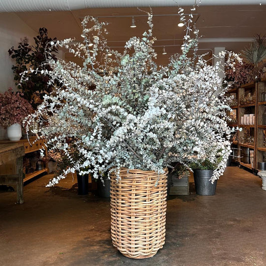 Preserved Eucalyptus Cabana Basket
