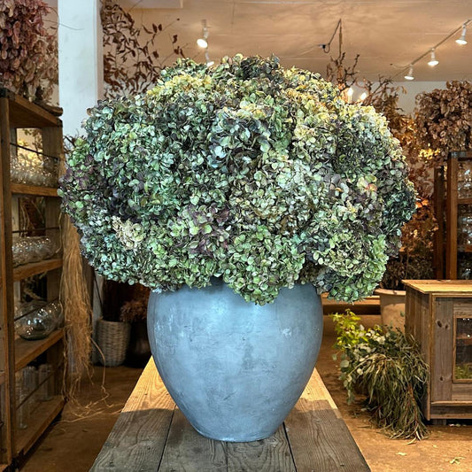 Preserved Hydrangea Composition in Joel Pot