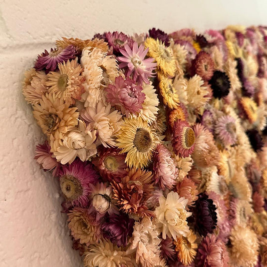 Preserved Strawflower Wall Panel