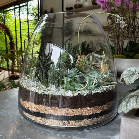 Trapèze Succulent Terrarium