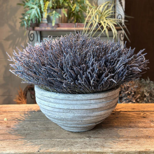 Preserved Lavender Bowl