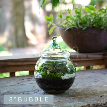 Petit Bubble Tropical Terrarium