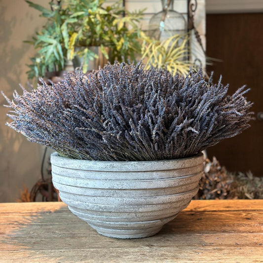 Preserved Lavender Bowl