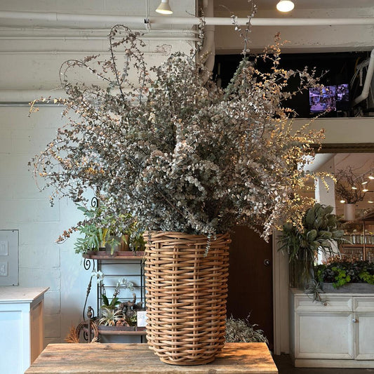 Preserved Eucalyptus Cabana Basket