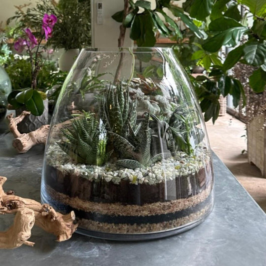 Trapèze Succulent Terrarium
