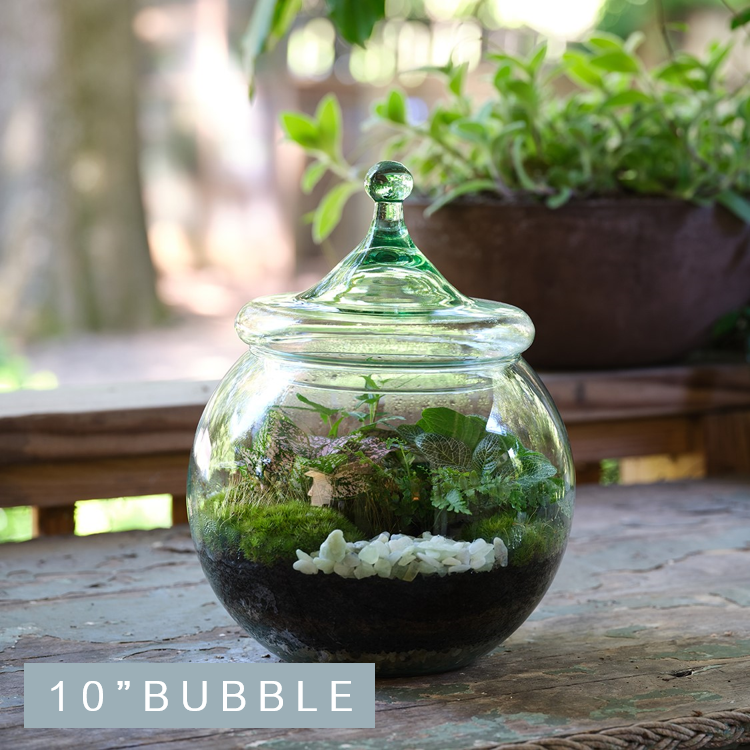 Bubble Tropical Terrarium
