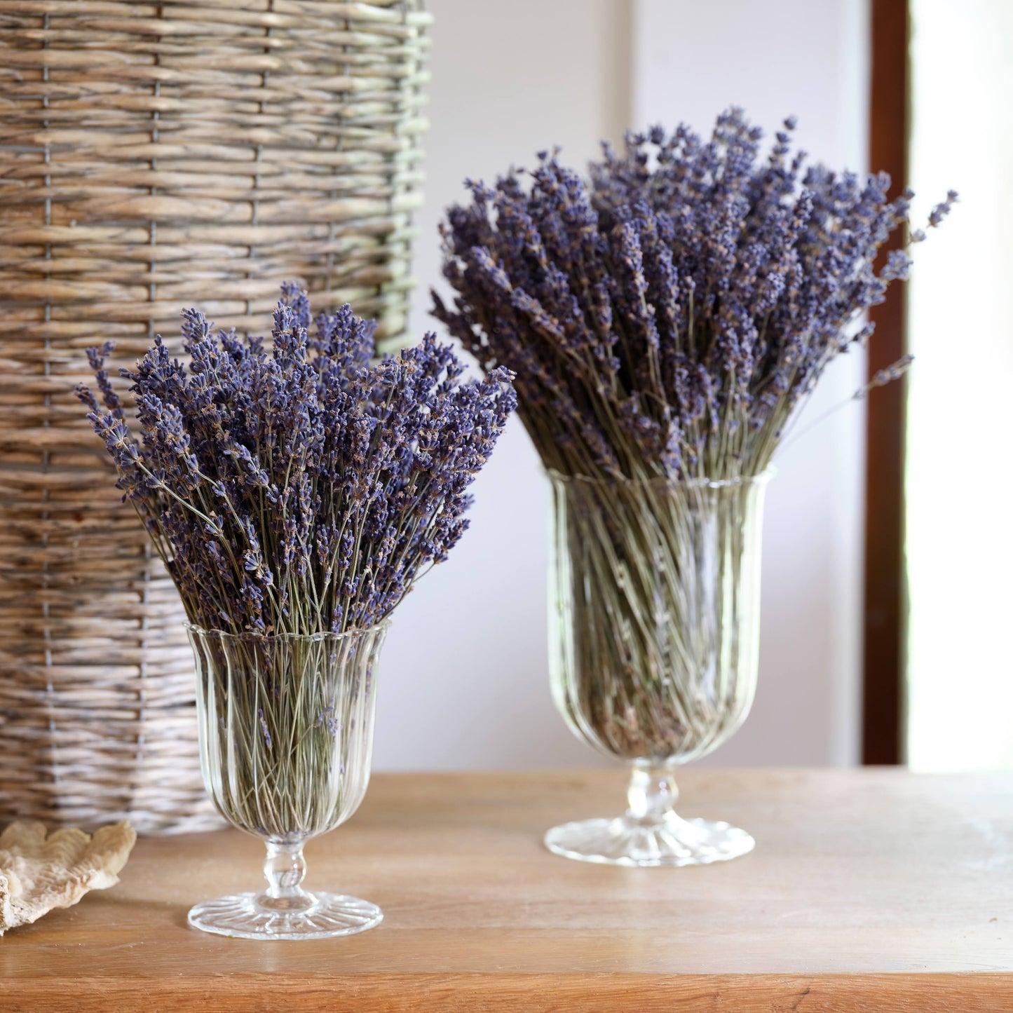 Preserved Lavender Compositions