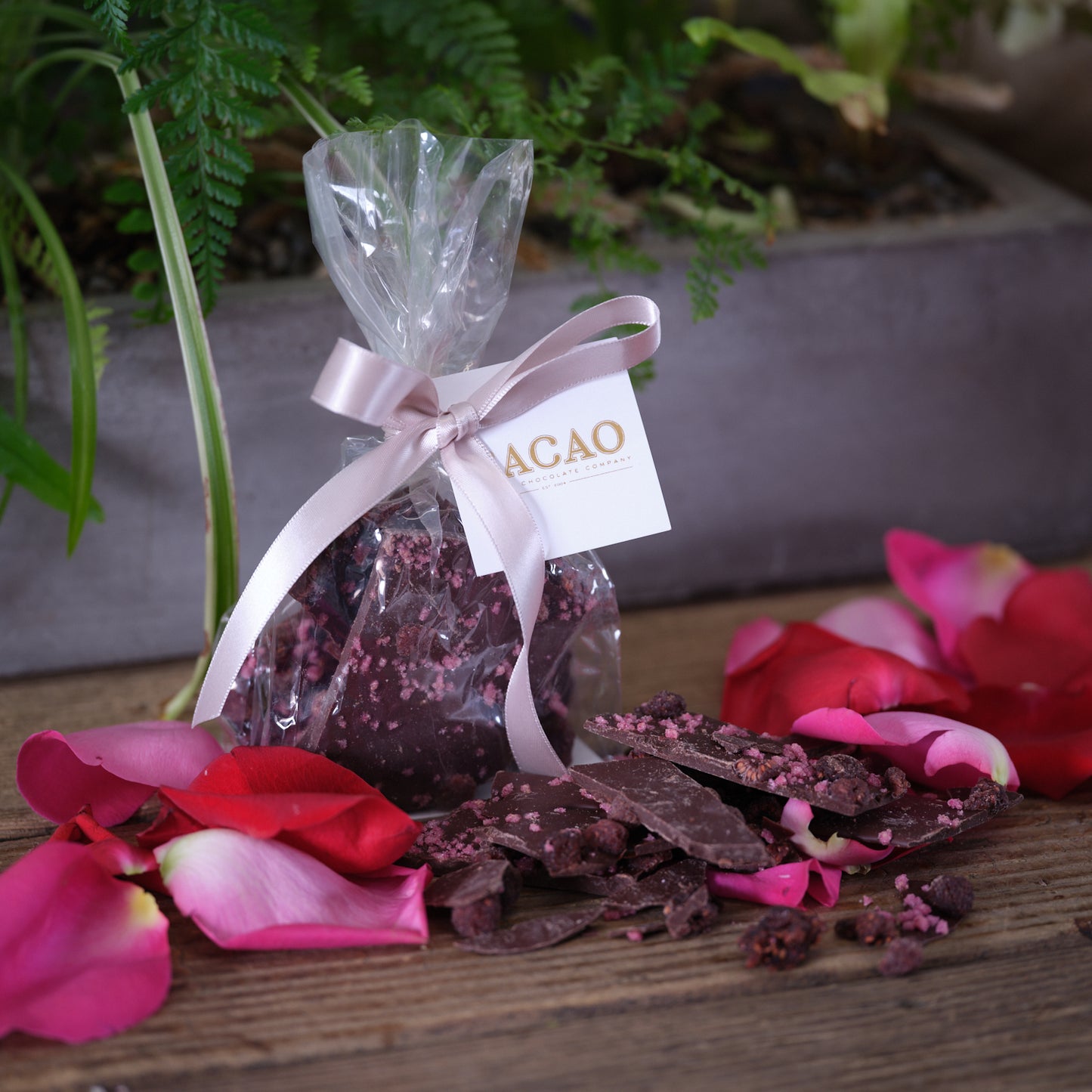 Cacao Pistachio Rose Chocolate Bark